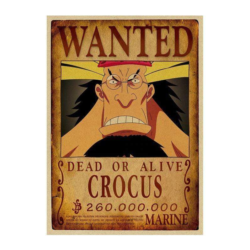 One Piece Posters – Search Notice Crocus wanted