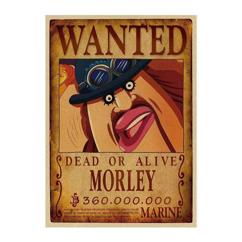 One Piece Posters – Wanted Search Notice Morley